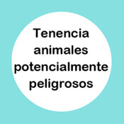 Certificado médico Animales peligrosos